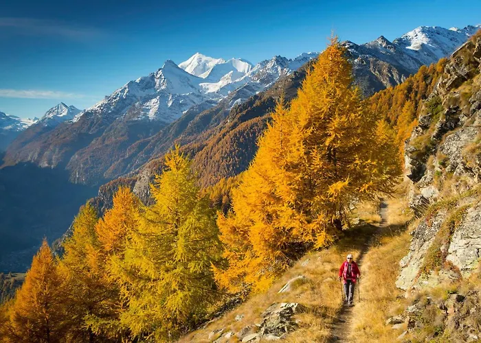 Morgengruss - 3 Min Walk To Train Station, & Quiet *